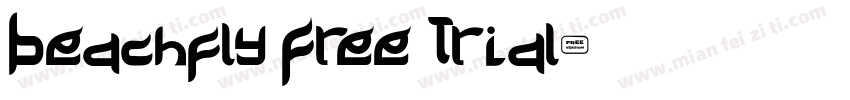 Beachfly Free Trial字体转换